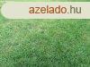 Kiad 12 500m2-es Sznt, Vc