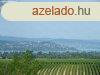 Birtok Balaton-kzelben. - Krshegy