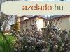 Balatonfzfn kastly villa jelleg trsashz plet 4 szint