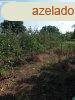Elad 75 nm-es Egyb Albertirsa
