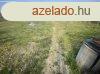 Elad 145 nm-es Csaldi hz Dabas