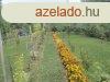 Elad 220 nm-es Feljtott Csaldi hz Eger