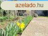 Elad csaldi hz Csatr, 	Zskutcja