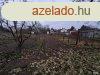 Elad 120 nm-es Csaldi hz Szeged Szreg 