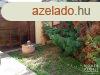 Elad 178 nm-es Csaldi hz Hdmezvsrhely   