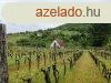 Elad prshz s szl - Pcsely