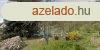 Szigliget. Ez a telepls ltet, gynyrkdtet, otthont ad