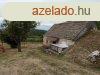 PCSELYEN BALATONI PANORMVAL - PRSHZ S SZL. - Pcsely