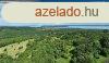 Balaton-felvidken 6,3 ha birtok, 2 db romos plettel - Vs