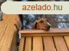 Az otthon, ahol minden nap nnep!