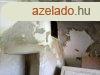Elad tbbgenercis csaldi hz Zalaszentgrt belvrosban