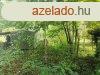 Elad 458 nm-es jszer llapot Csaldi hz Pcs Mecsekolda