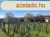 Elad 1840 nm-es Feljtott Ikerhz Romonya