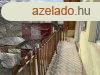 Elad 144 nm-es Feljtott Csaldi hz Pcs Kertvros 