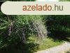 Erd lelsben egyedi tervezs, kivteles hangulat, hz e