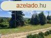 Erdszli, panorms telek - Domony