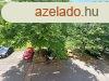 3 szoba-hallos erklyes panellaks az 1. emeleten
