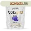 PureGold CollaGold 300g