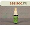 Bach virgeszencia vadrepce 10 ml