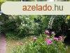 Elad csaldi hz Gdll, 	Kzponthoz kzel