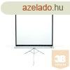 EliteScreens 99" (1:1) mobil hromlb vszon T99NWS1 (