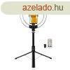 Logilink Smartphone ring light with selfie stick tripod remo