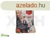 Dolly premium fapellet alom 15kg, 1 db/csomag
