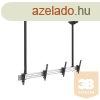 Equip TV Mennyezeti konzol - 650373 (45"-55", 2 mo