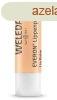 Weleda Ajakpol Everon SPF 4 4,8 g