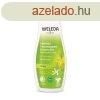 Weleda 24h expressz hidratl testpol (Express 24h Hydrati