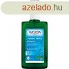 Weleda Zslys dezodor 100 ml