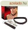  Bad Kitty Collar And Leash 