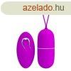 Pretty Love Vibrating Egg Arvin
