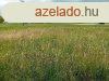 Klnleges fejlesztsi terlet Balaton-kzelben - Zamrdi