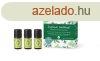 Primavera Aroma elsseglycsomag Forest Energy 3 x 5 ml