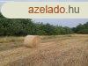 Elad Erd Mezgyn