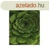 Vszon falikp, agave, 60x80 cm, zld - AGAVE - Butopa