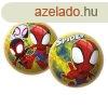 Labda 23 cm - Pkember
