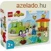 LEGO Duplo Town 10419 Mhek s kaptrak gondozsa
