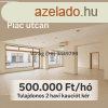 Kiad zlethelyisg, Debrecen Piac utca 500.000 Ft