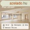 Elad zlethelyisg, Debrecen Piac utca 200.000.000 Ft