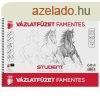 Vzlatfzet B4, 160g. famentes Student