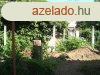 Elad hzrsz Budapest, XX. kerlet, 	Alakthat, 243 m2 saj