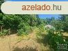 Elad ptsi telek Hdmezvsrhely   