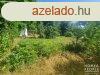 Elad ptsi telek Hdmezvsrhely   
