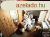 Elad csaldi hz jszentivnon!