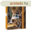 Fzetbox ARS UNA A/5 Mt Bence-lion