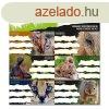 Fzetcmke ARS UNA 18 darabos Icons of the Wild