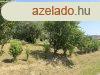 Elad telek Bde, 	Csendes, termszetkzeli rszn