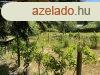 Elad ptsi telek Miskolcon, az Alms utcban ? egyedlll